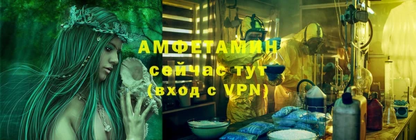 гидра Армянск